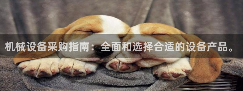 娱乐风暴二