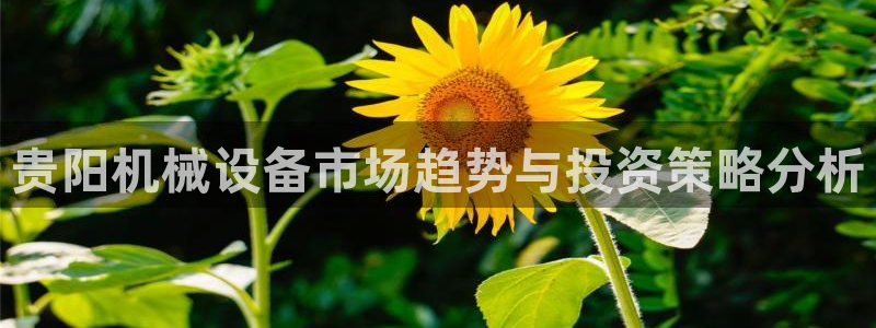 娱乐风暴App