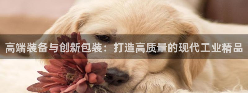 风暴娱乐主管是谁