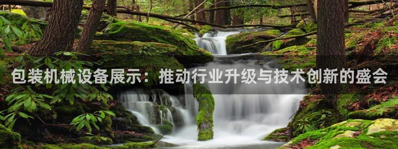 光风暴娱乐