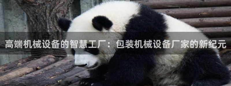 风暴娱乐字图片大全