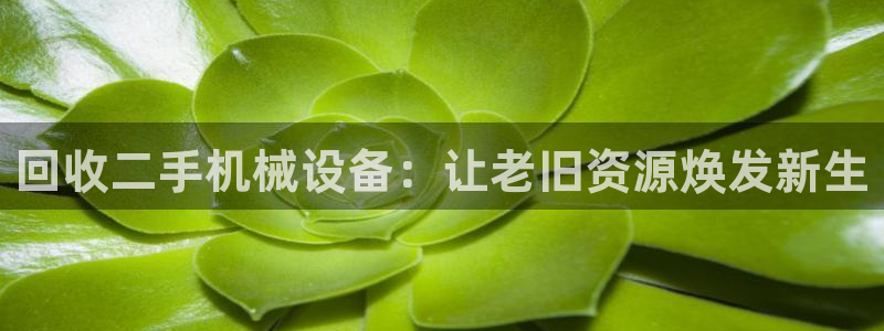 风暴娱乐老板