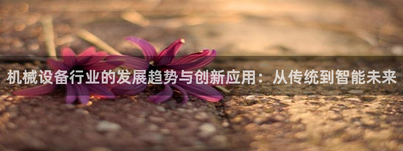 风暴平娱乐
