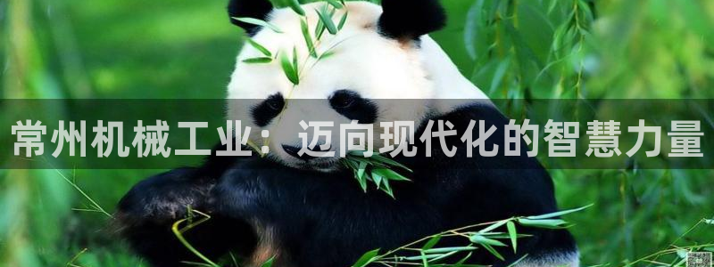 风暴娱乐提现