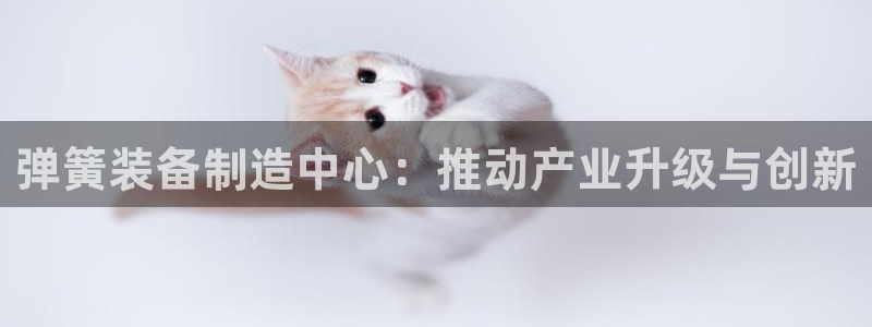 风暴新娱乐