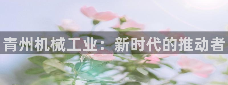 风暴娱乐40996