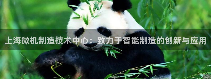 完美风暴 娱乐