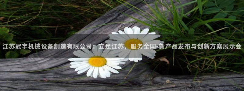 风暴娱乐待遇