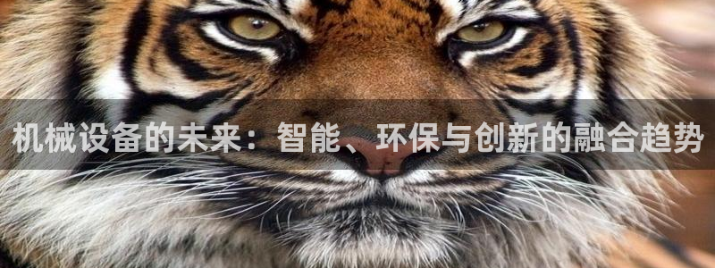 风暴娱乐点