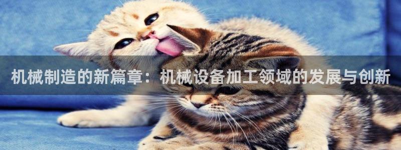 风暴娱乐这个平台靠谱