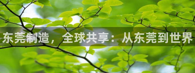 风暴娱乐拉菲8