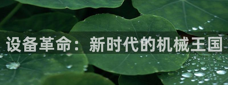 风暴娱乐老板