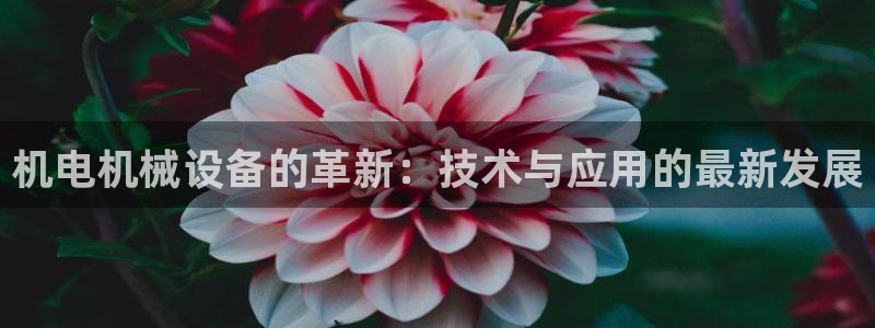 完美风暴 娱乐