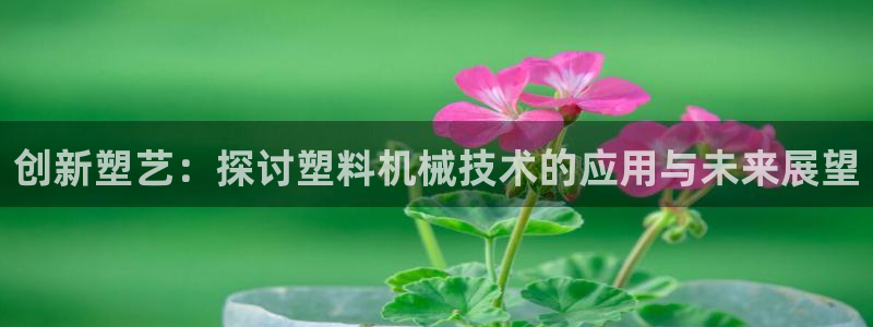 风暴娱乐平台地址
