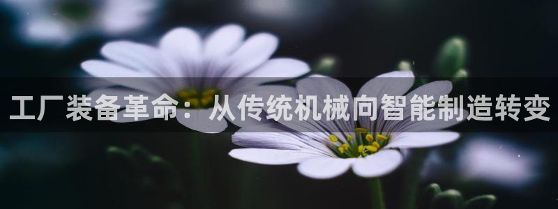 风暴娱乐左5指尖