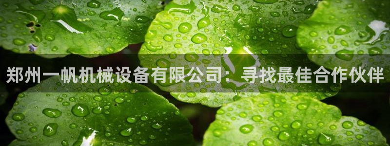 风暴娱乐拉菲8