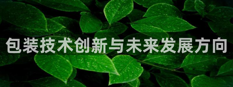 风暴娱乐右5指尖
