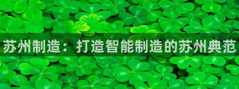 风暴眼娱乐