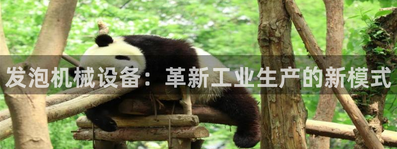 风暴娱乐下载
