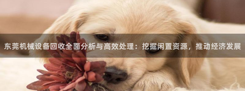 风暴娱乐网