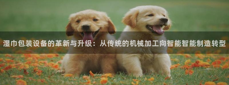 风暴娱乐号